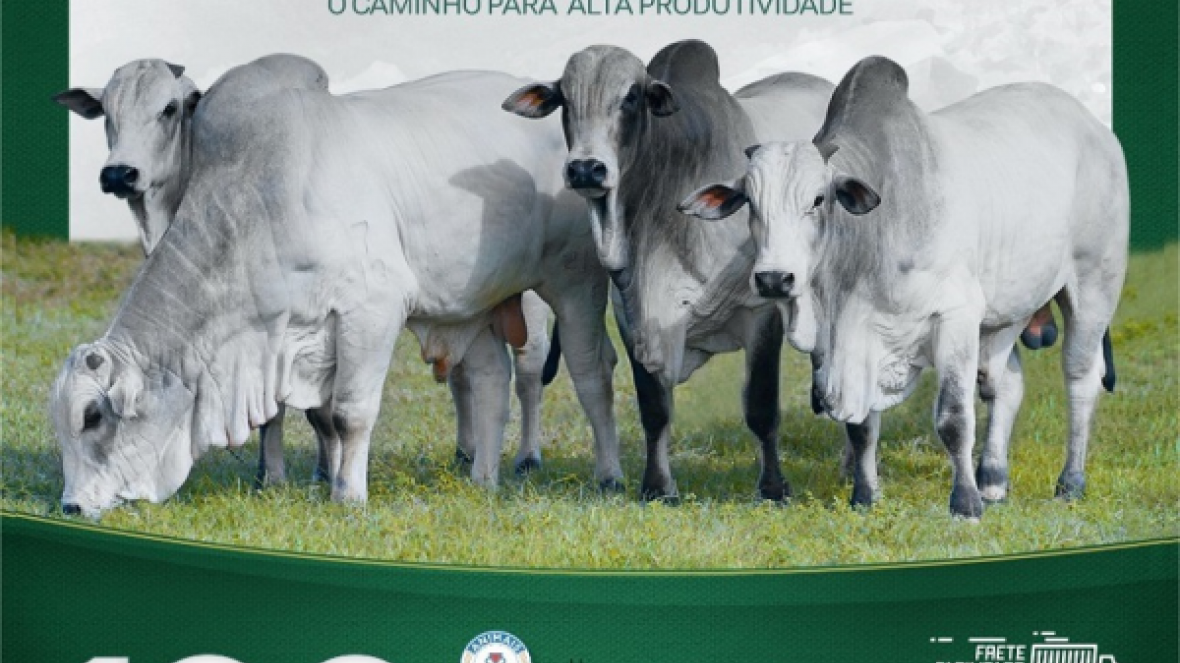 Mais de 100 animais serão ofertados no ?3º Leilão Fazenda Jacamim?