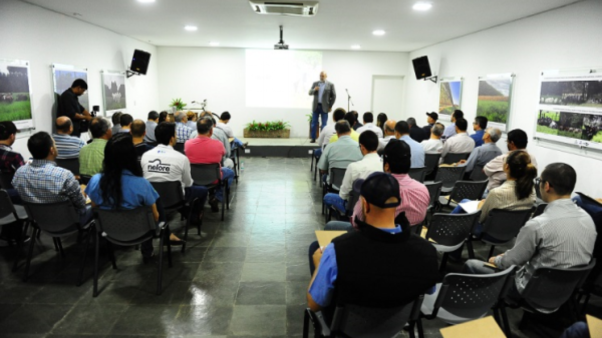 Perspectivas são de crescimento para a pecuária, afirma Scot Consultoria