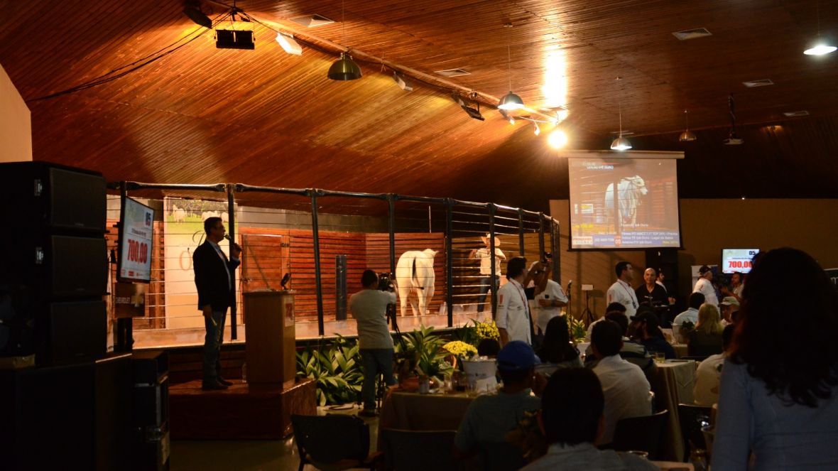 89ª ExpoZebu já tem 39 leilões e 4 shoppings de animais confirmados
