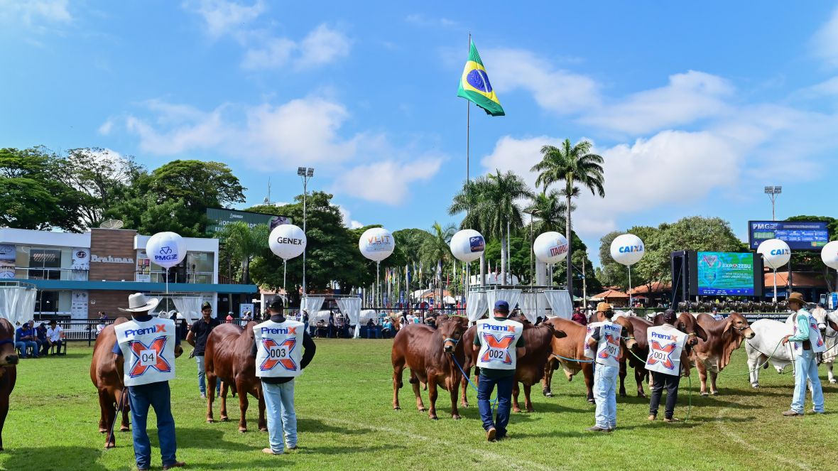 90ª ExpoZebu: confira a programação da feira para esta quinta-feira (1º de maio)