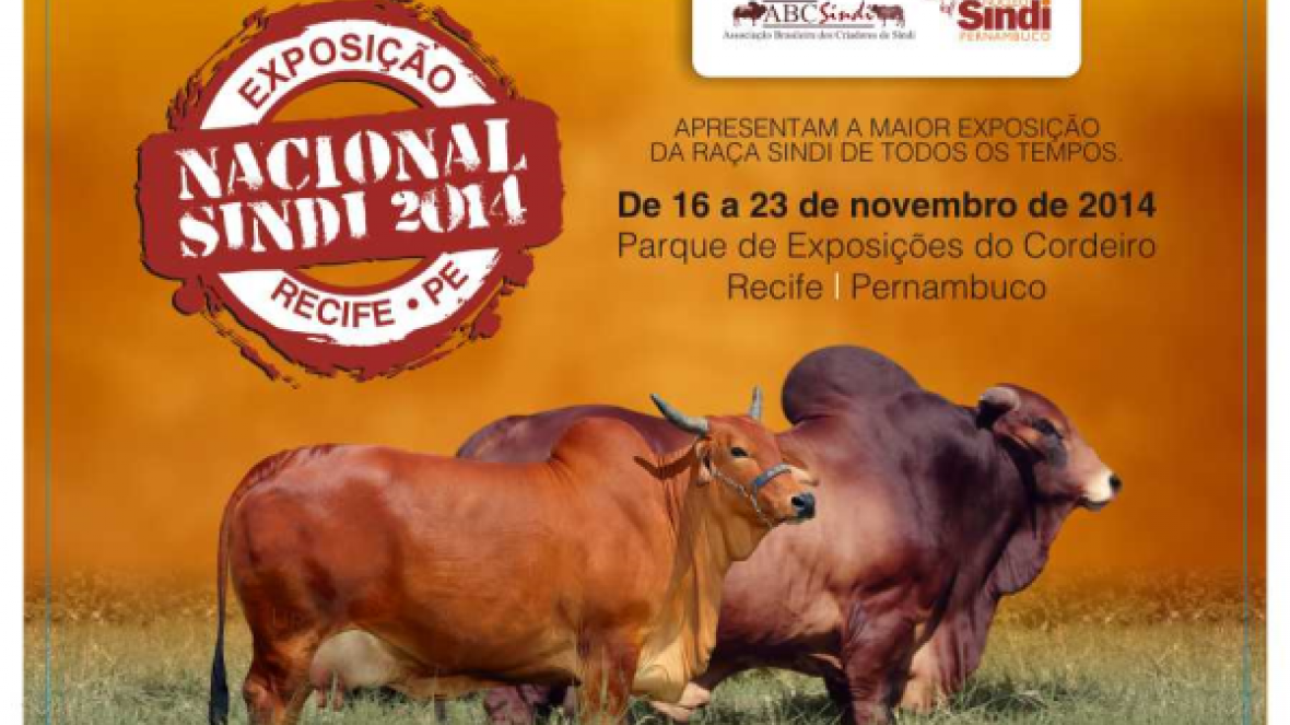 Recife sediará a Nacional do Sindi