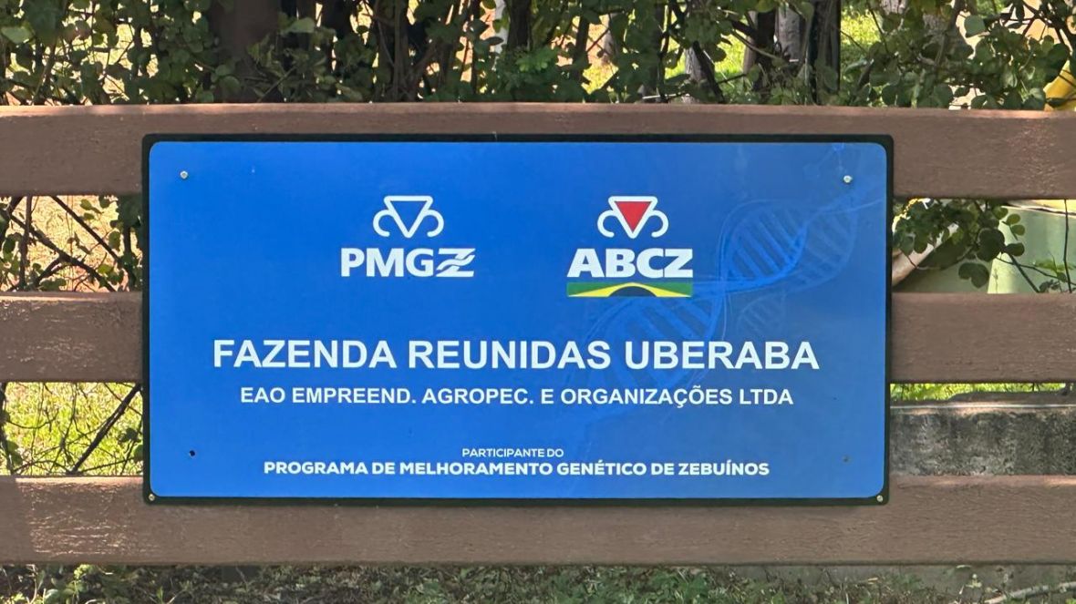 PMGZ Carne: pesagem intermediária marca início das avaliações na EAO Agropecuária