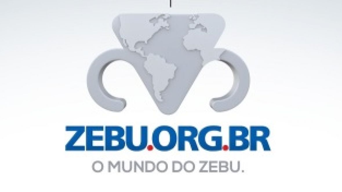 Zebu.org alcança mais 250 mil pessoas em uma semana