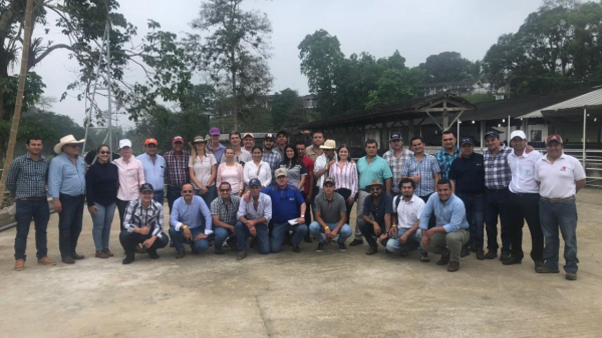 Gerente do PMGZ Leite ministra palestra em curso internacional de Melhoramento Genético de Gir