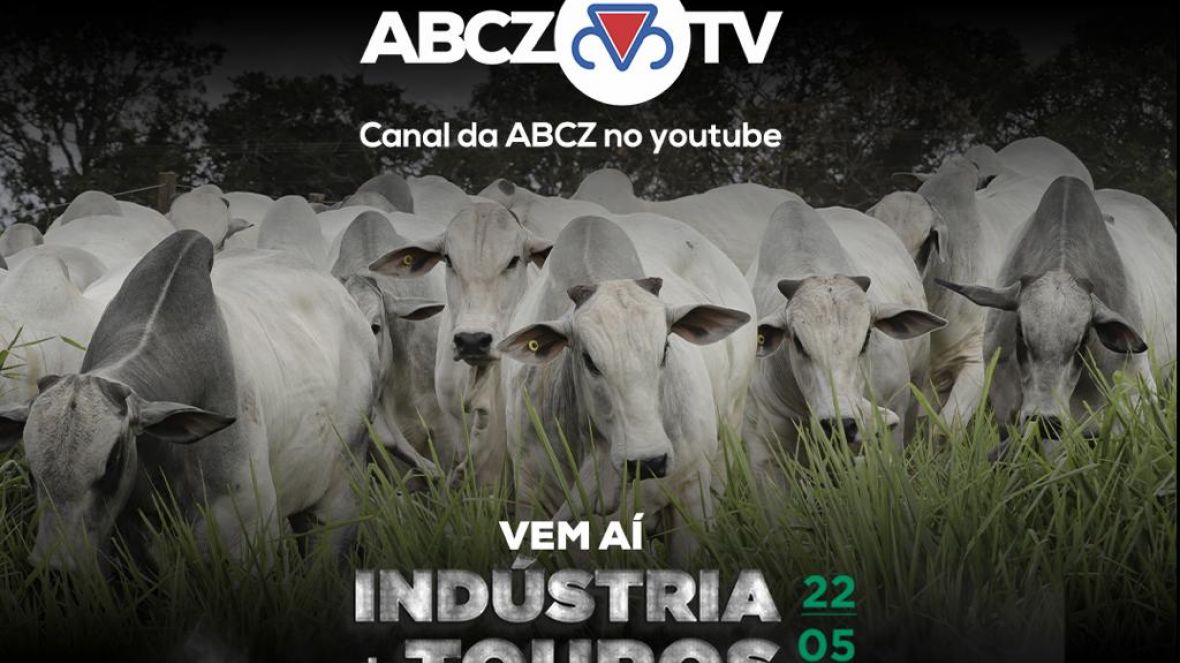 Rima Agropecuária estreia serviço de transmissão de leilões na ABCZ TV