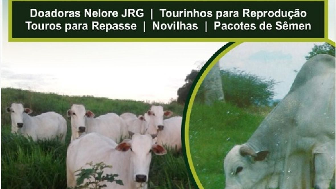 Dia de Campo movimentará o interior da Bahia na próxima quarta (28)