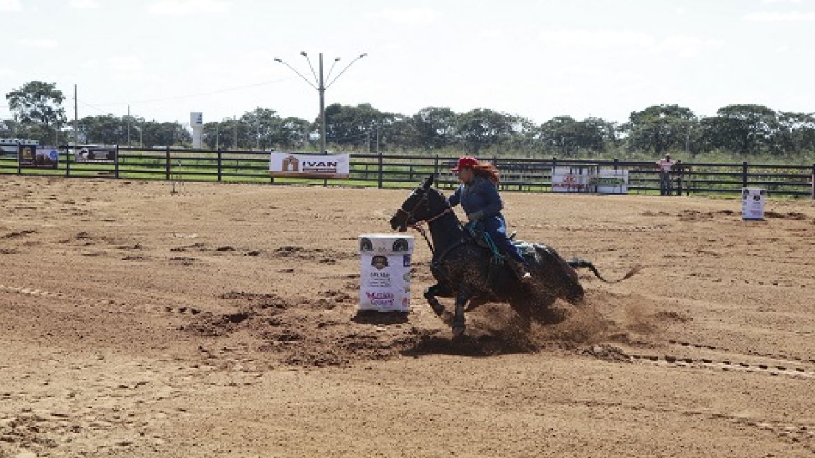 Equishow vai receber mais de 400 animais este ano