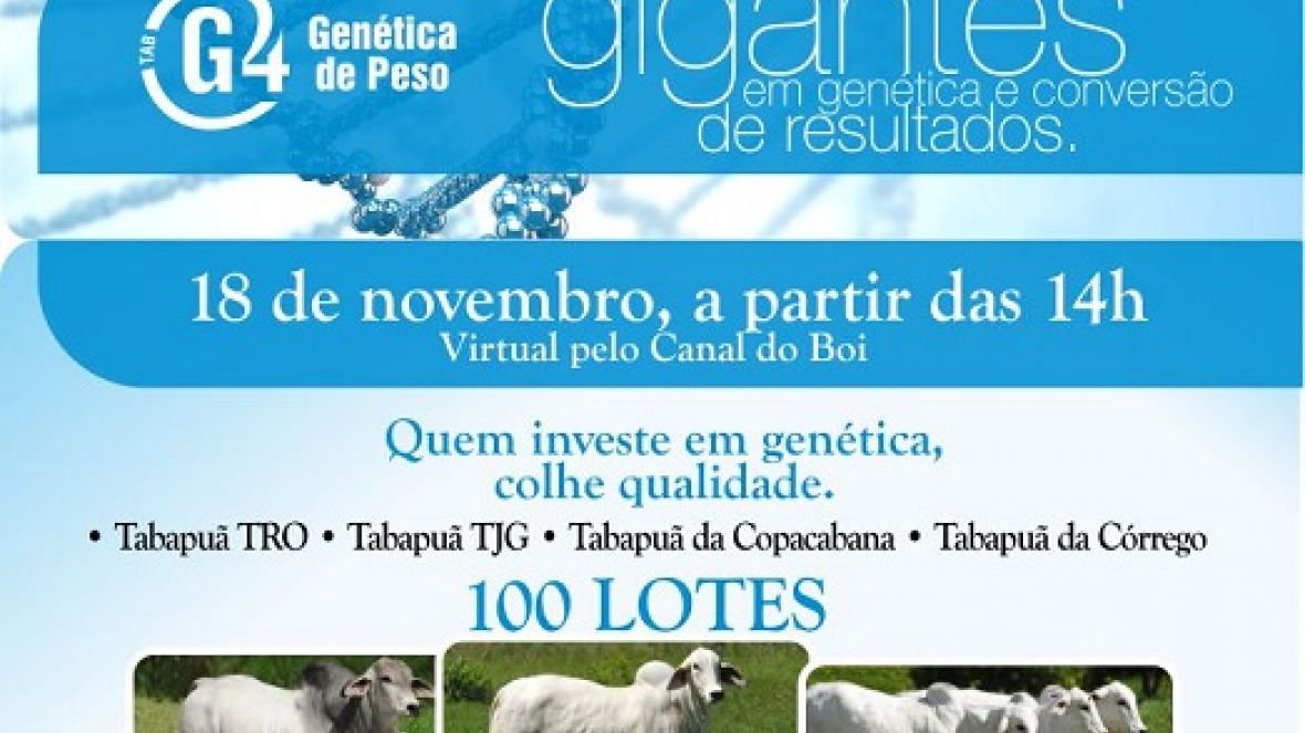 Leilão Virtual TAB G4 oferta genética avaliada pelo PMGZ