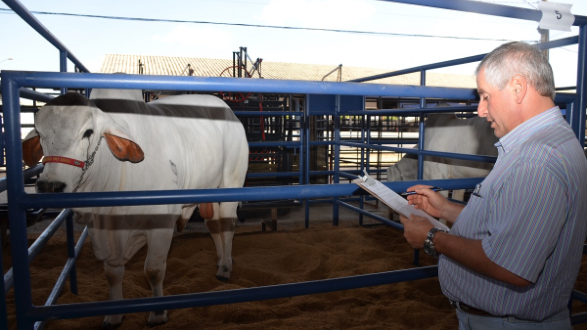 ExpoGenética: Começa primeira fase do PNAT 2015