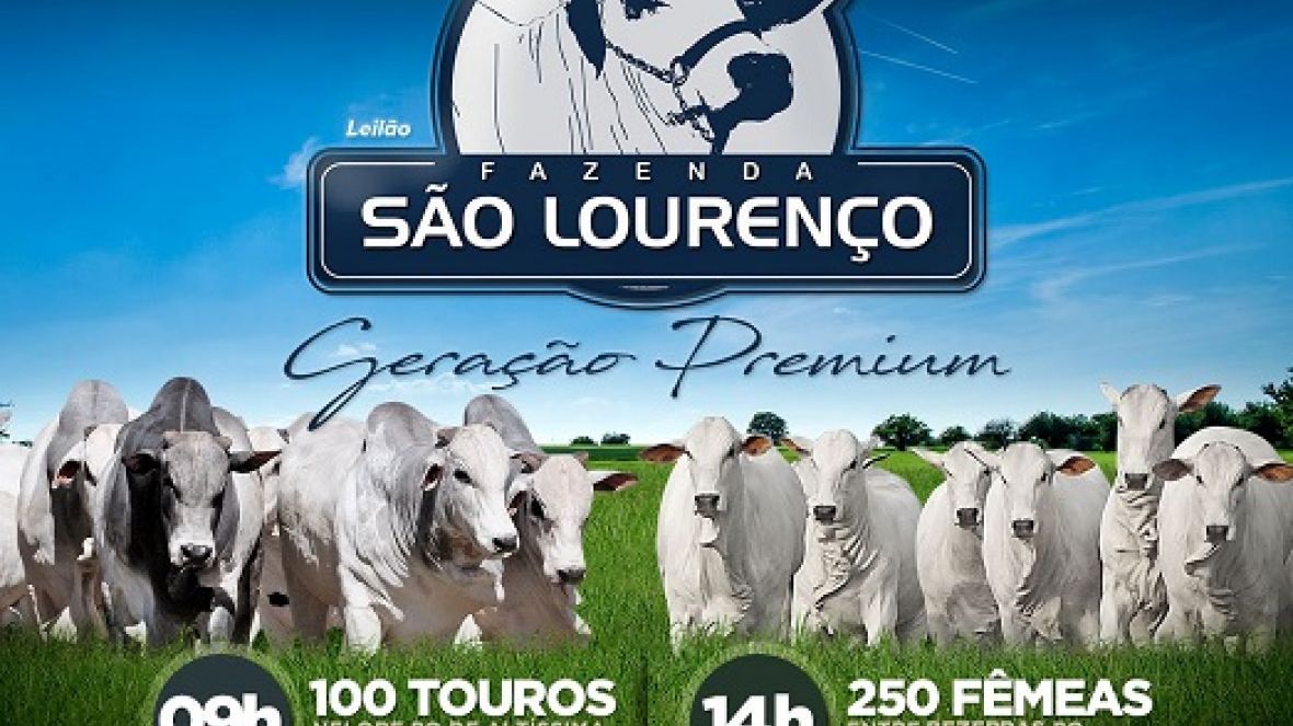 ?Leilão Fazenda São Lourenço ? Geração Premium? será realizado no próximo domingo (08) 