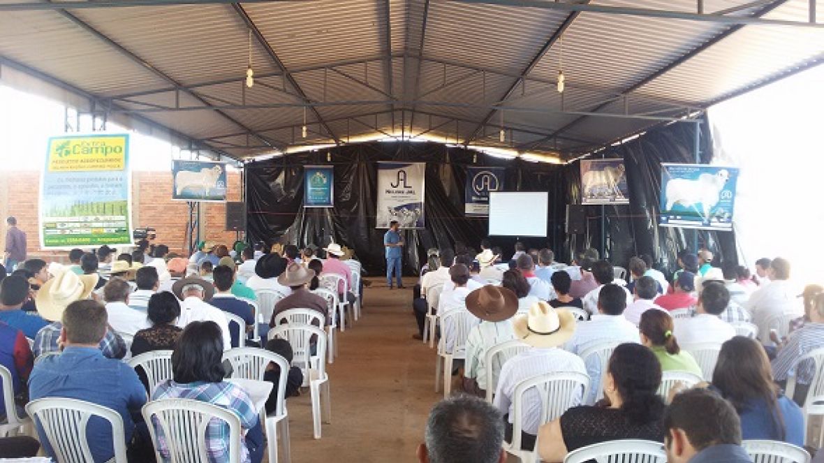 Conceitos de Melhoramento Genético são fortalecidos no Tocantins