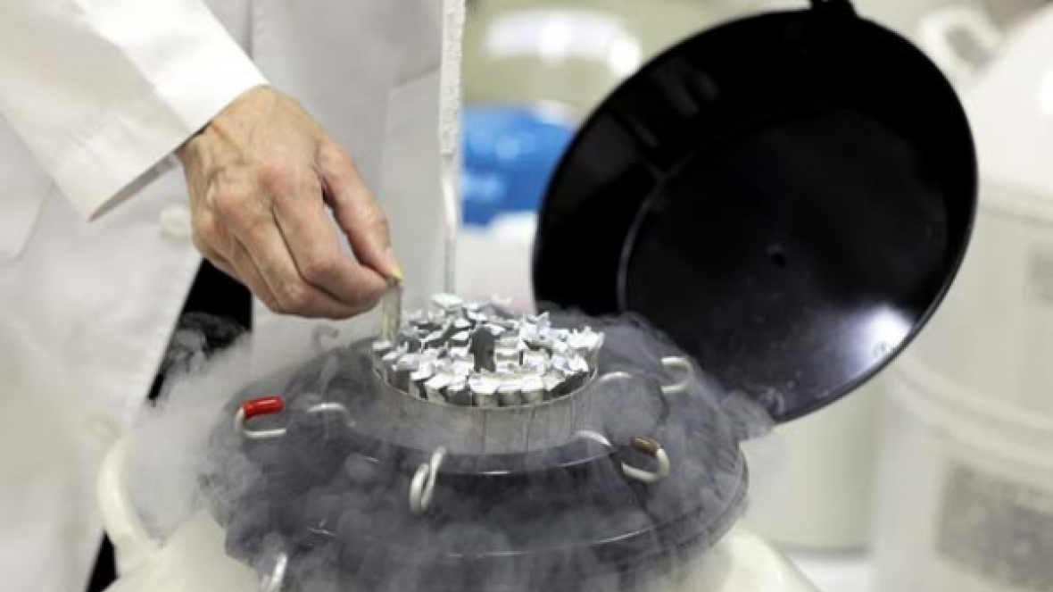 ExpoZebu 2018 será palco de ?Rodada de Negociações de Protocolos Sanitários?