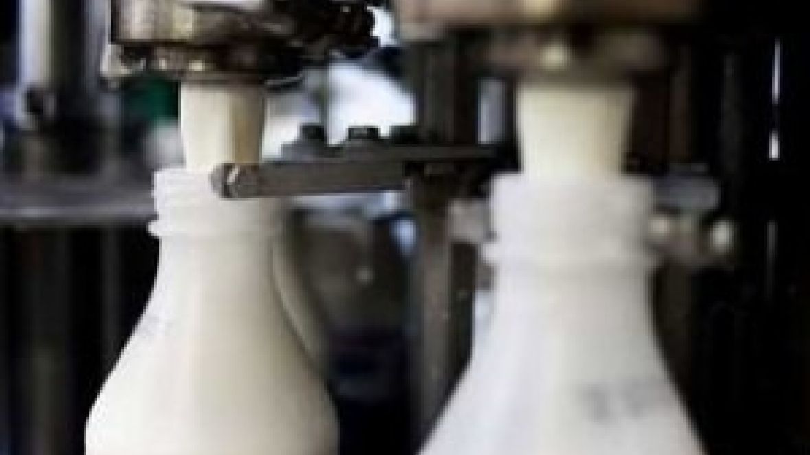 ABCZ apoia iniciativa de associado por mais espaço para derivados de leite no mercado internacional