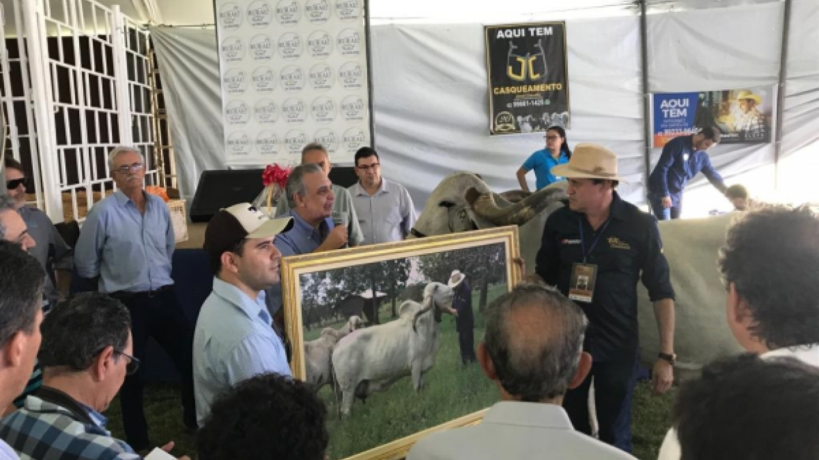 ABCZ participa de Dia de Campo na Fazenda Tamburil