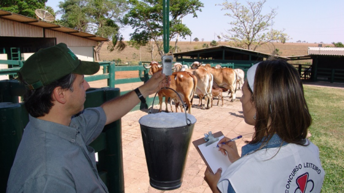 ABCZ oferece opção de controle leiteiro bimestral