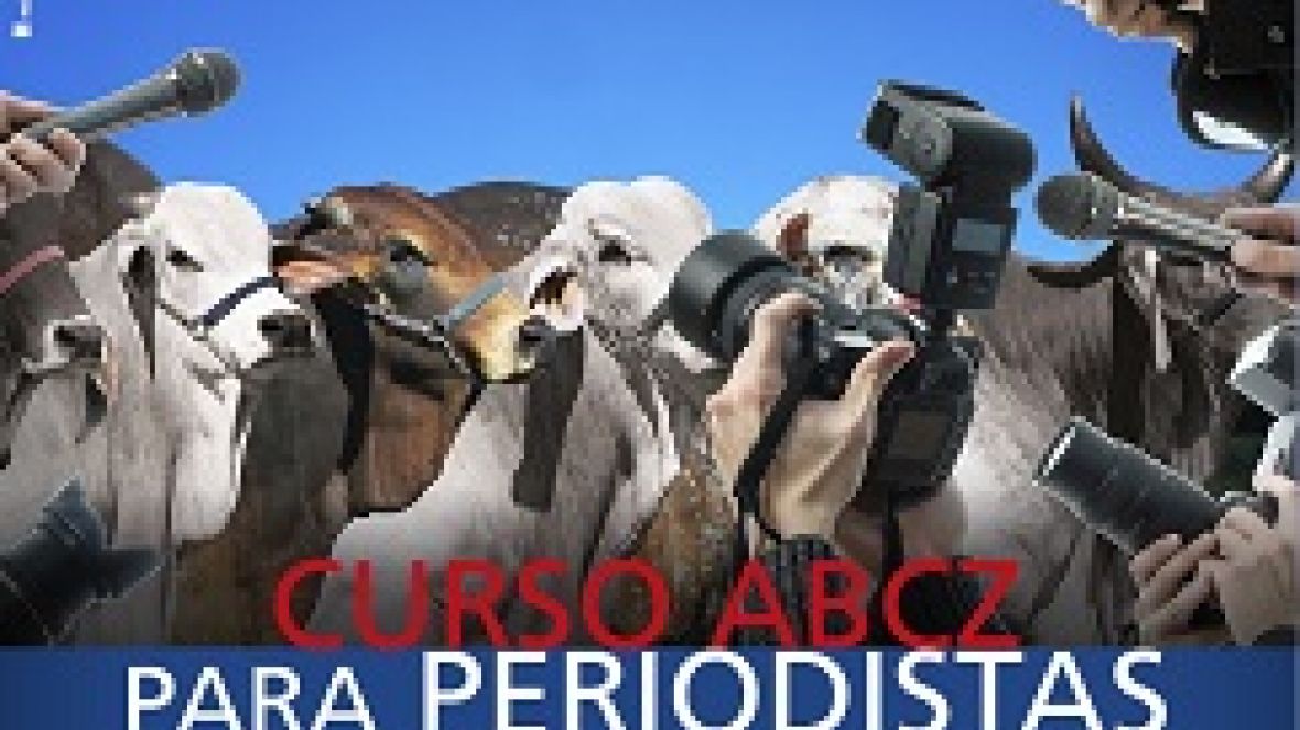 ABCZ promove curso para jornalistas internacionais