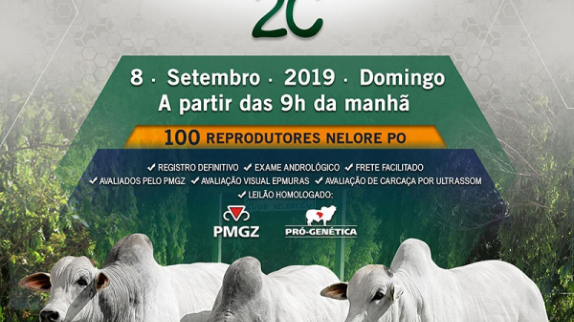 ?Leilão Virtual Touros Cachoeira 2C? será realizado no próximo domingo (08)