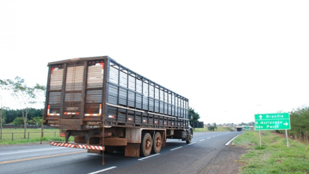 Transporte animal: menos burocracia para o produtor de gado em MG
