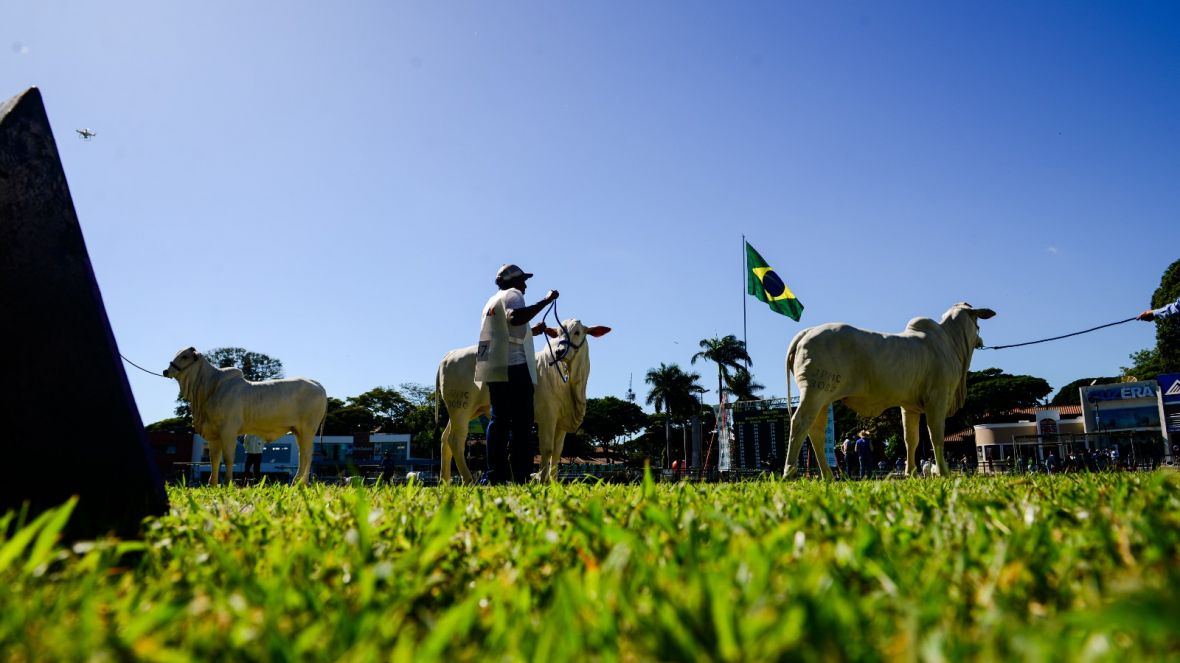 Inscrições de animais para 89ª ExpoZebu estão esgotadas