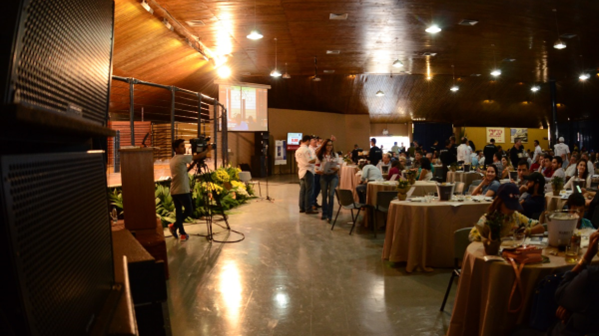 Mais de R$32 milhões já foram movimentados em leilões