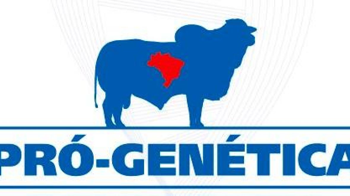 Criador comemora venda rápida de touros pela internet