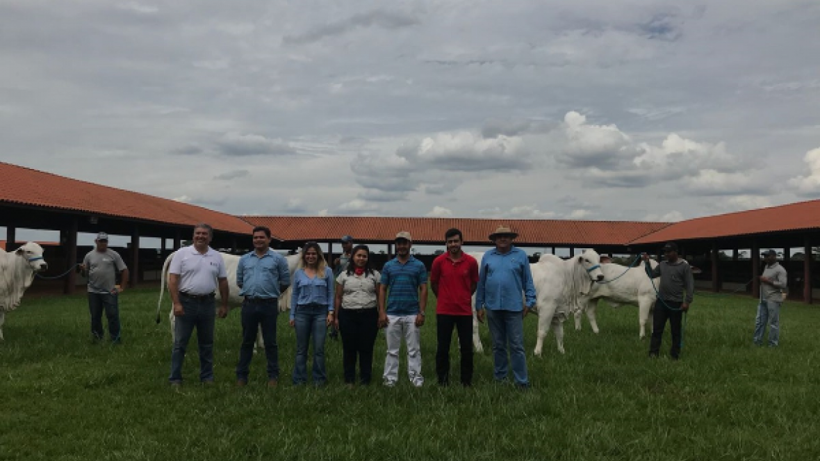 Colégio de Jurados da ABCZ ganha novos membros