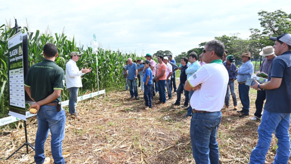 Dias de Campo movimentam Fazenda Experimental Orestes Prata Tibery Júnior