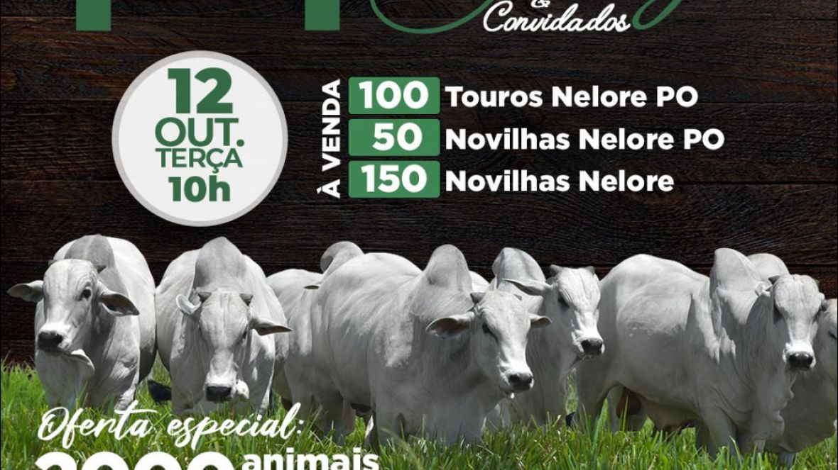 Leilão Virtual Fazenda Urupianga é homologado pela ABCZ 