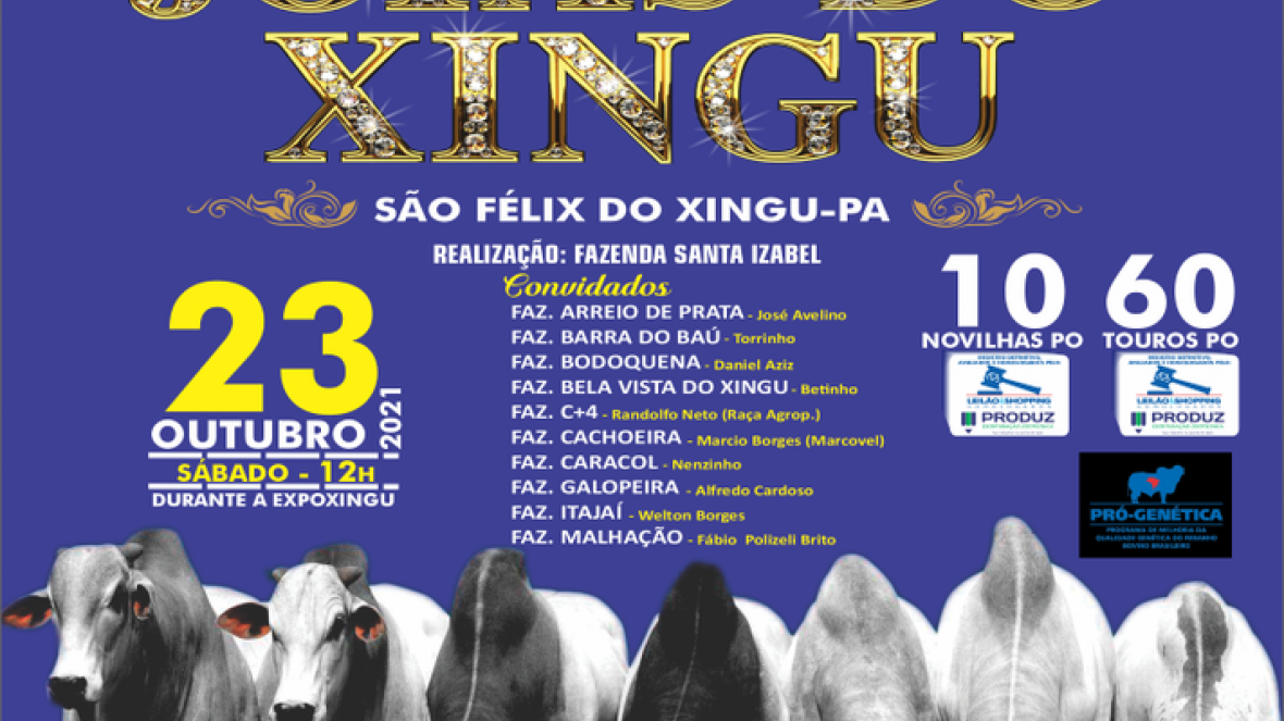 14º Leilão Joias do Xingu acontece neste sábado 