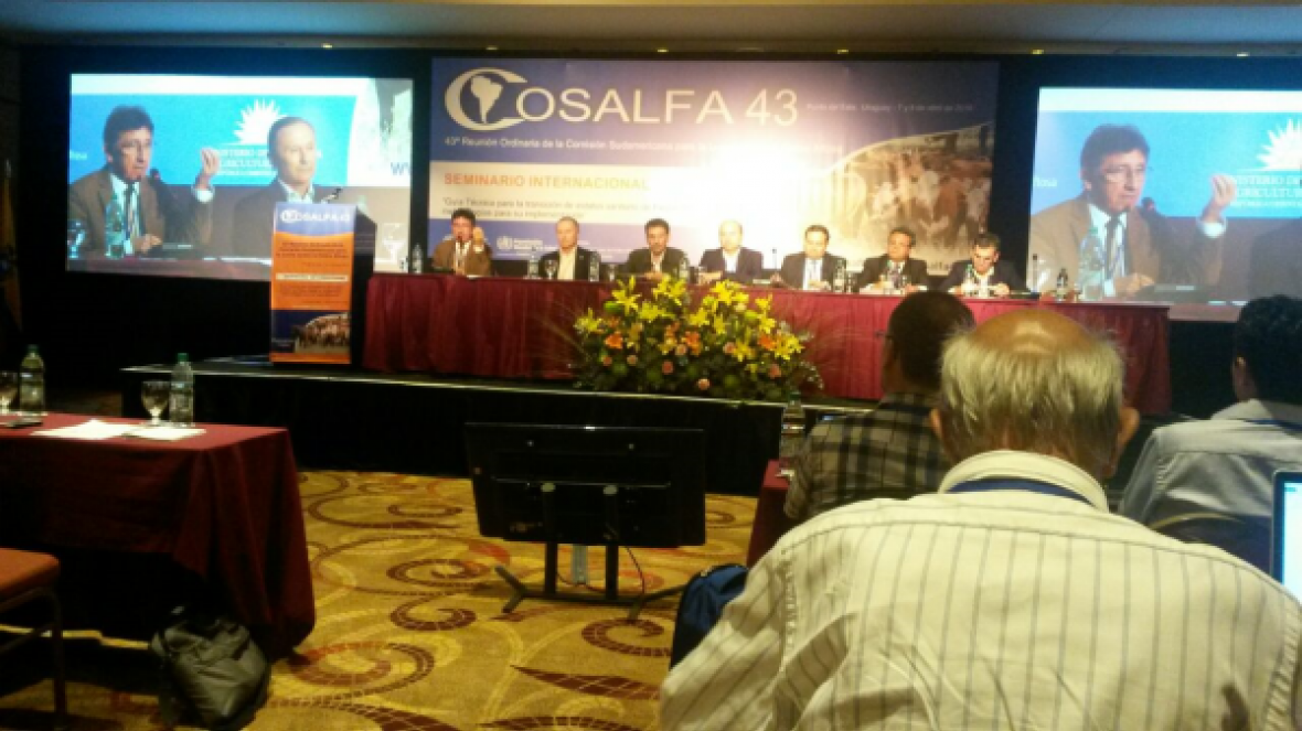 Lideranças sulamericanas debatem obrigatoriedade da vacinação contra aftosa