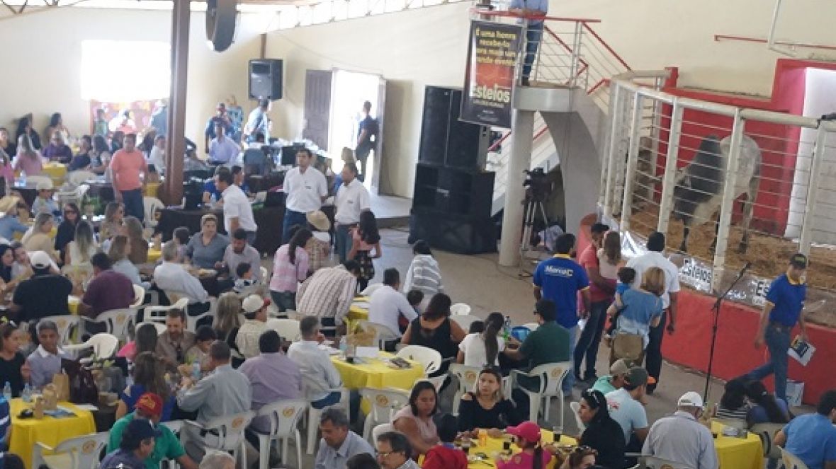 Leilões reforçados por eventos técnicos são nova frente de atuação do PMGZ