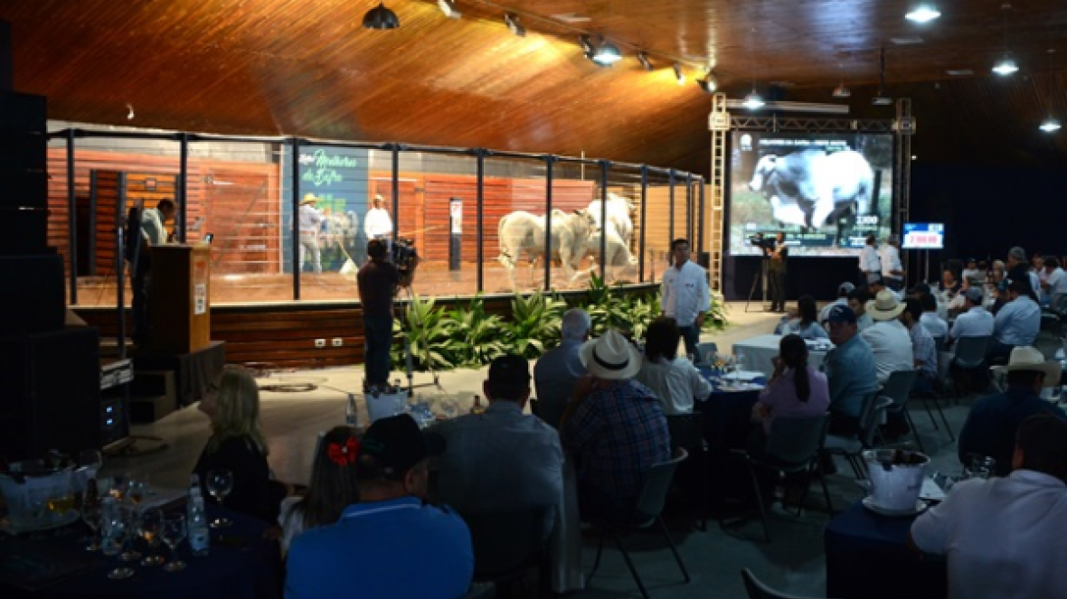 Resultados da ExpoGenética 2016 comprovam a força do setor pecuário