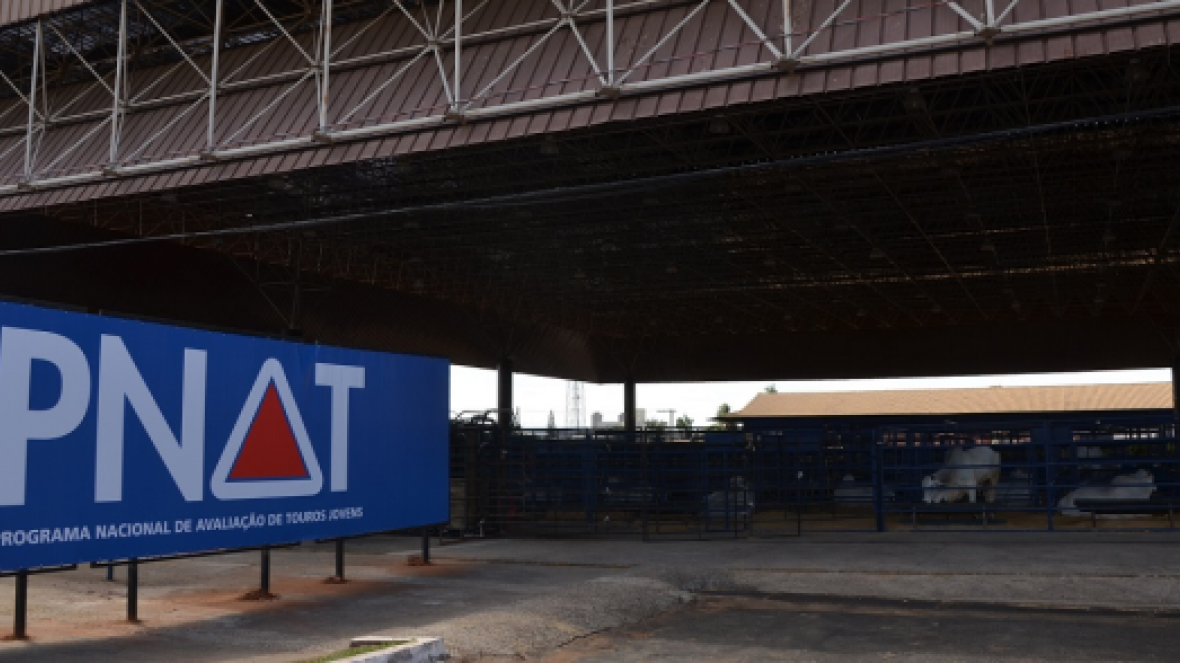 Compartilhe seus resultados com a ABCZ