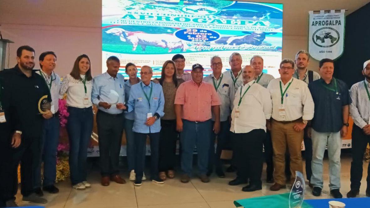 Cooperação entre ABCZ e países latino-americanos vai auxiliar no desenvolvimento da pecuária leiteira 