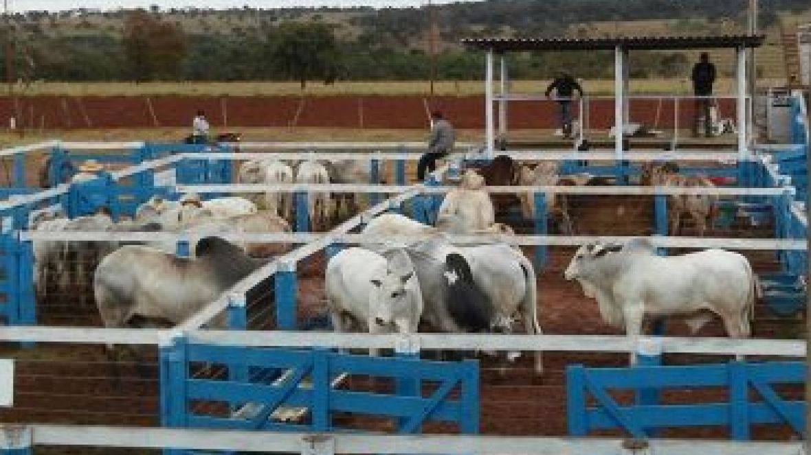 ABCZ vai assinar convênio com Governo de São Paulo durante a Agrifam 2015 