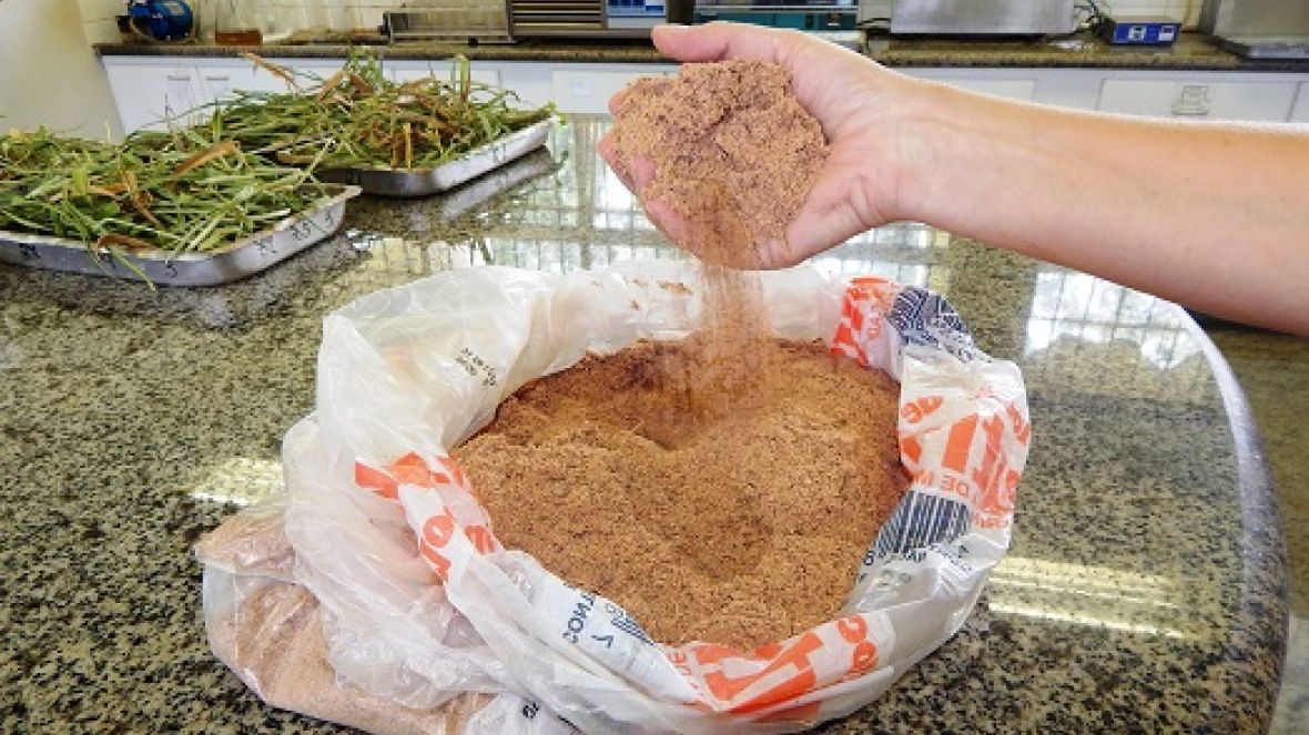 ExpoZebu 2019: Fazu concederá desconto especial nas análises de solo e de nutrição animal