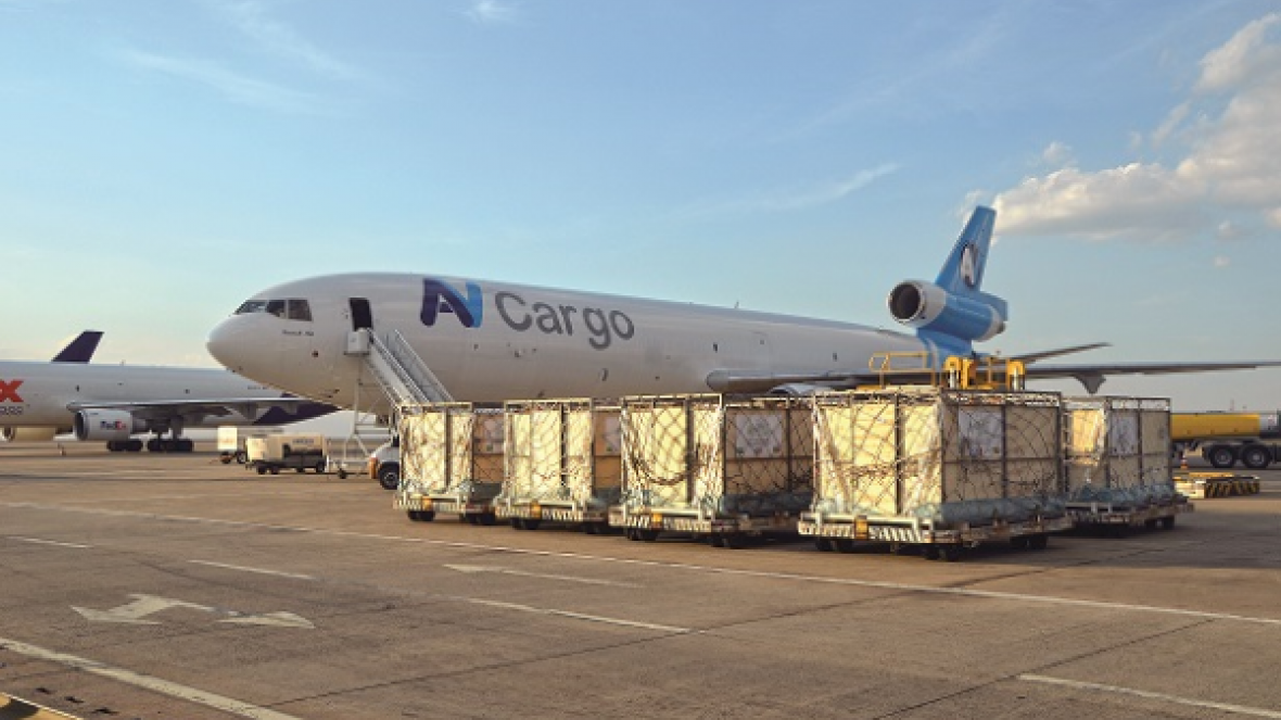 Brasil conclui acordo com Moçambique para exportar bovinos vivos