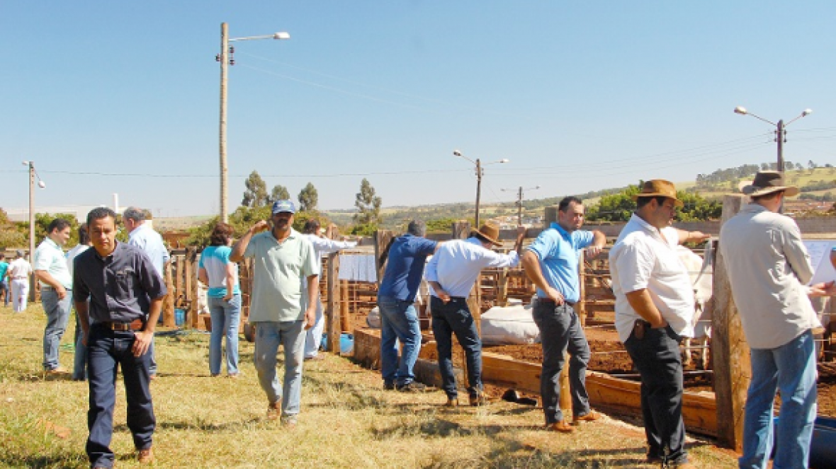 Feira do Pró-Genética em Sacramento tem grande liquidez nas vendas