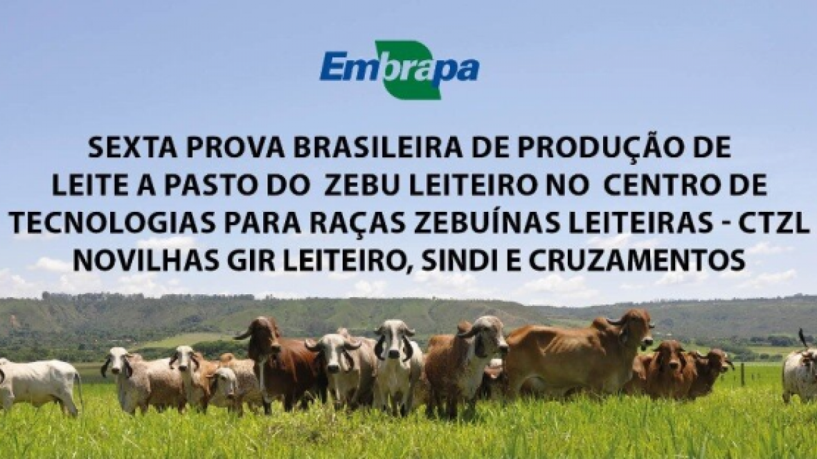 Inscrições abertas para a ?6ª Prova Brasileira de Produção de Leite a Pasto do Zebu Leiteiro?