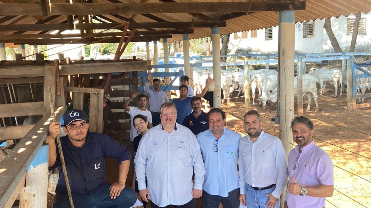 ABCZ participa da pesagem de entrada do Teste de Desempenho de Touros Jovens (TDTJ) a pasto da Embrapa Cerrados