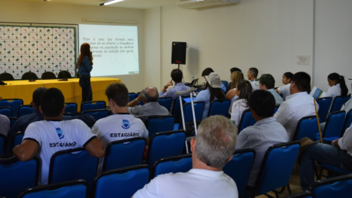 Crato sedia curso do PMGZ