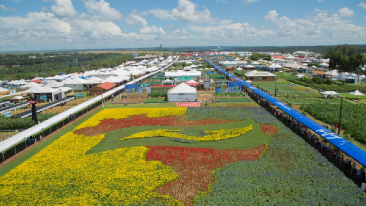 ABCZ leva genética zebuína ao Show Rural Coopavel 2016 em Cascavel