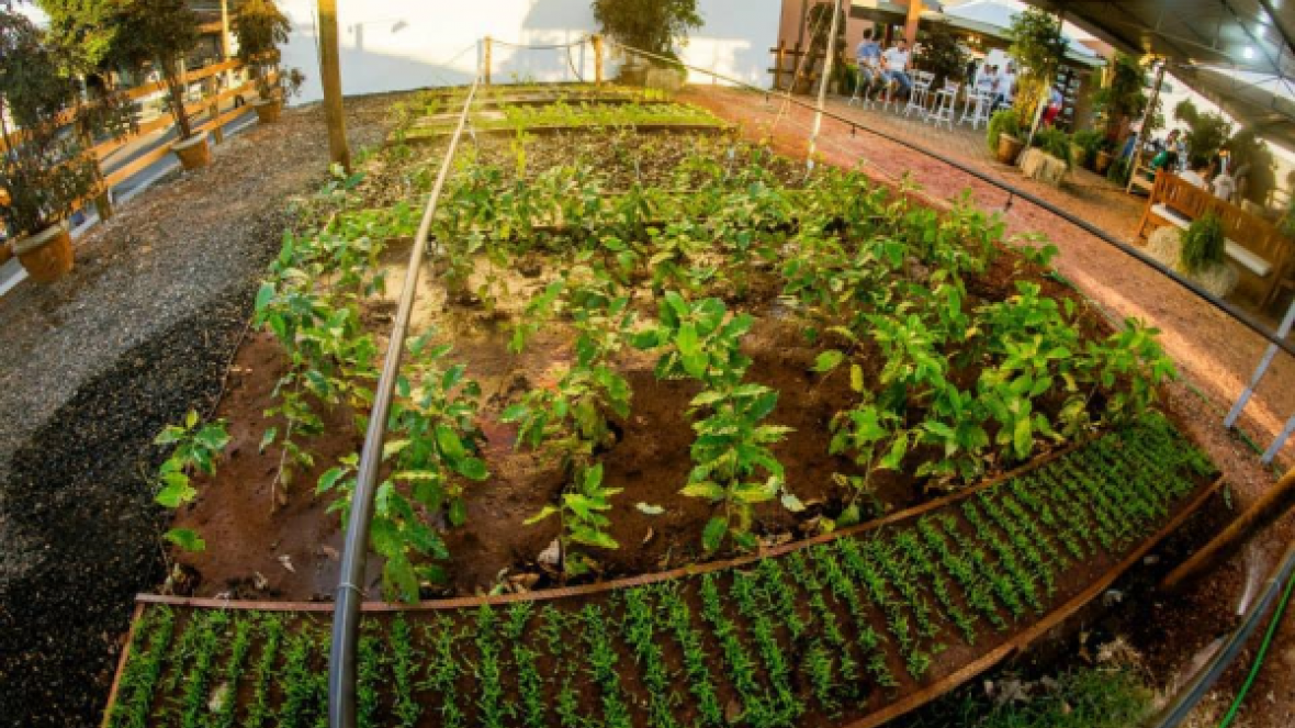 Fazendinha da Fazu será novamente atração na ExpoZebu 2016