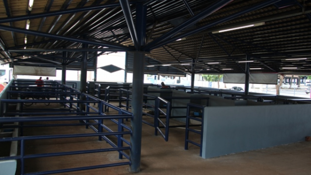 ABCZ continua execução de Plano Diretor do Parque Fernando Costa