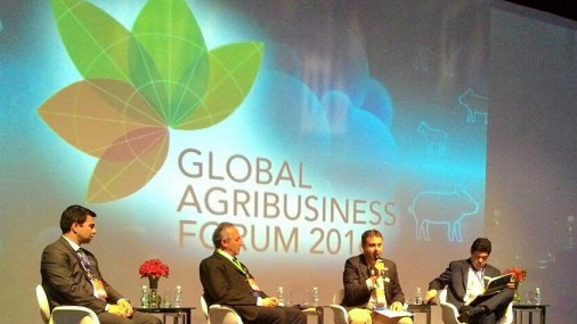 Produção sustentável de proteína animal é debatida no GAF 2016