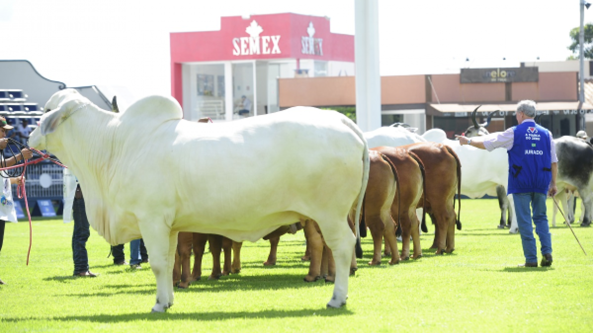 Termina hoje prazo para indicar jurados para ExpoZebu 2019