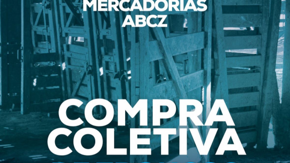 Inscrições para compra de coletiva de troncos e balanças triplicam em uma semana