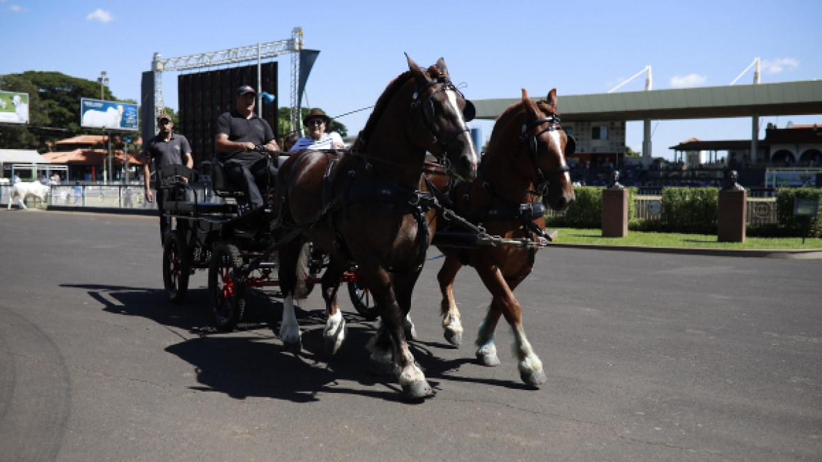 ExpoZebu oferece passeios de trole para visitantes