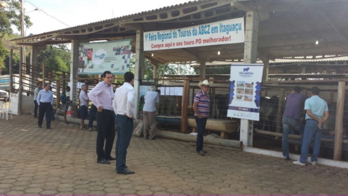 Produtores capixabas conferem e compram touros do Pró-Genética