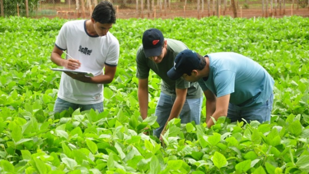FAZU inicia ano letivo com novidades